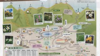 高～い雪の壁　　白銀の世界はここにあり!