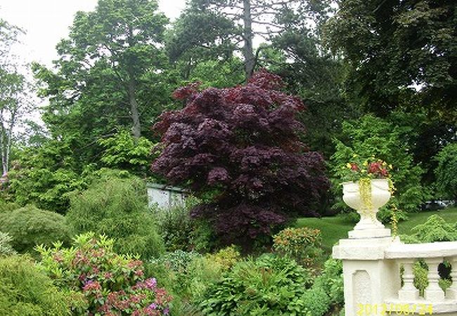 市民の憩いの場、ビクトリア様式の公園