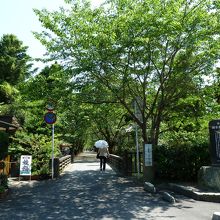 杉の馬場入り口。