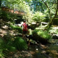 リゾート内の川です