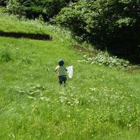 リゾート内で虫取りしてます