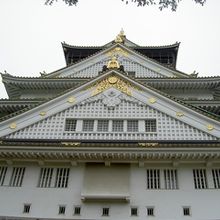 裏側から見上げました