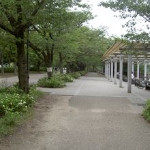 とても広い公園です