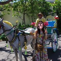 敷地内を走る馬車