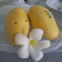 マンゴーはスーパーで一個２０円位！