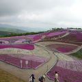 天空の花回廊