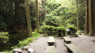 大量の水が湧き出る名水百選