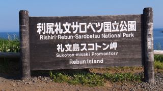 日本最北限の岬