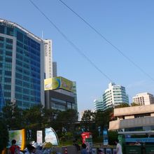 釜山市内から海雲台まではバスが結構便利です。