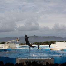 オキちゃんショー