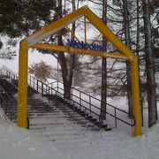 雪がもっふもふ♪