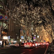 車の中からも楽しめそう