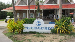 マリンスポーツ三昧