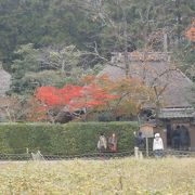 嵯峨野の風景の象徴