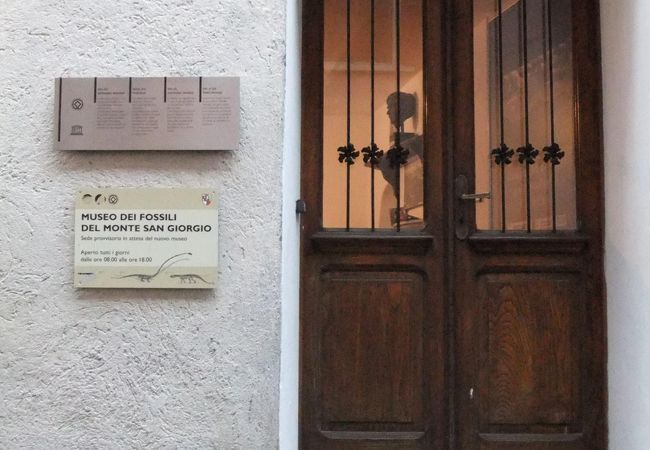 世界に類を見ない化石が多数発掘されたサン・ジョルジョ山