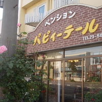 正面からの様子