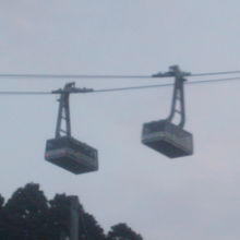 すれ違う光景もよく見かけます