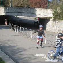 たくさんの人がスポーツして楽しんでました