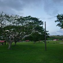 地元の方で賑わう、緑あふれる公園