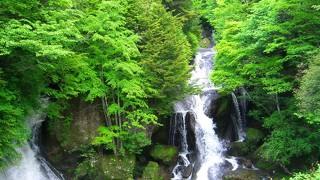 滝の目の前の茶屋が良い雰囲気