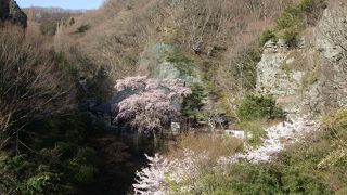 観音堂は崖に張り付いたように建てられていまして、危なっかしい姿