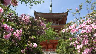 まず目に入るのは、国宝三重塔