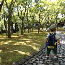 ６月はこんな感じ