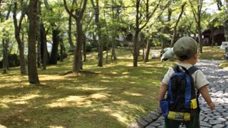 お庭が素敵です。