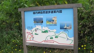 通れませんでした