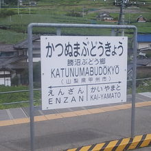 駅看板もなかなか良い風情です