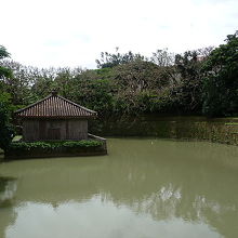 池、北側から