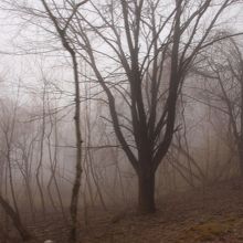 霧が発生すると走りづらくなります