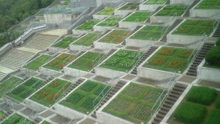 これは凄い　安藤忠雄ワールド