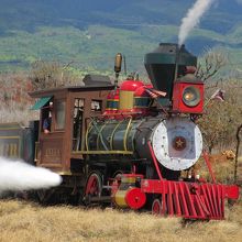 向きを変える為、機関車だけが走っています。