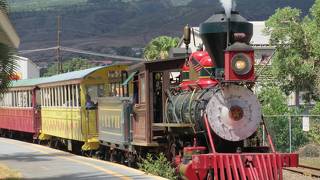 サトウキビ列車の向きの変換を見られました