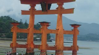 大雨の後でしたが辿りつきました