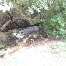 変哲も無い川です