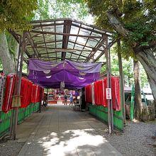 受付で絵馬を買う