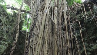 大量の蚊に。。。