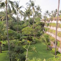 リスが遊びにきます