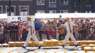 チーズの試食が盛りだくさん