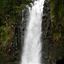 左岸側から見た流身