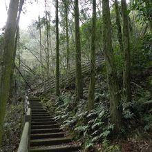 アプローチ遊歩道はかなりの急坂でした