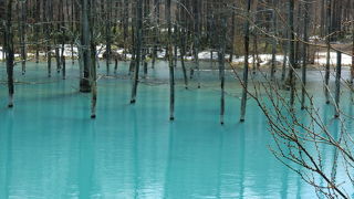 一見の価値あり！