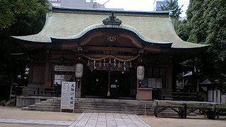 あじさいが綺麗でした！