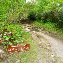 登山道入り口