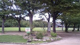 桜の時期以外は・・・