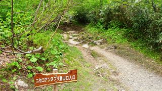 登山初心者向けの山です