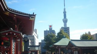 スカイツリーが見える