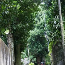 宿の前の路地